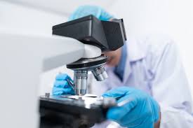 Maybe you would like to learn more about one of these? 10 Peluang Kerja Jurusan Biologi Murni Terpopuler Kita Punya