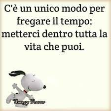 Ok Parole Versi Frasi Aforismi Citazioni Massime Pensieri Riflessioni Sapere Morale Citazione Citazioni Divertenti Citazioni Citazioni Compleanno