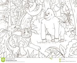 Alors ne manquez pas cet article de planèteanimal sur les animaux de la jungle. Vecteur De Livre De Coloriage De Bande Dessinee D Animaux De Jungle Illustration De Vecteur Illustration Du Fond Nature 61196385