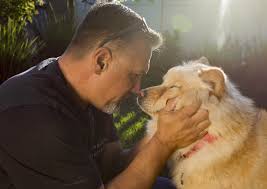 Select a puppy that interests you for additional photos, a description, whether the dog is good with children, and other petco is a popular shop for buying pet supplies, whether in stores or online. National City Puppy Stores Sued Over Sick Dog And Alleged Leasing Contract The San Diego Union Tribune