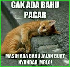 Jangan lupa like comment dan share ♥. Gambar Kucing Lucu Dengan Kata Kata Gambar Kucing Lucu Kucing Lucu Lucu