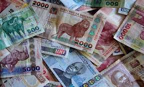 Image result for TANZANIAN SHILLINGS PIC
