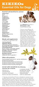 When using essential oils around your pets, it is important to take a few precautions to keep them safe. Essential Oils Safe To Diffuse In A Dog S Environment Please Read Disclaimer Essential Oils Dogs Are Essential Oils Safe Oils For Dogs