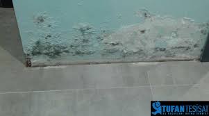 Genelde evlerde terleme havasız evlerde yaygındır öncelikle bulunduğumuz evin havalandırma sistemi olmalıdır. Duvarda Terleme Nedir Ve Neden Olur