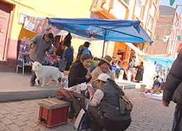 Publica cualquier producto o servicio sin. Feria 16 De Julio Menores Venden Perros Ilegales