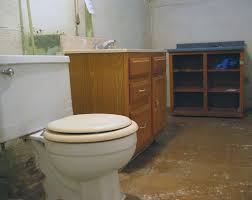 A wide variety of fancy commodes options are available to you, such as project solution capability, design style, and material. Pittsburgh Toilet Wikipedia