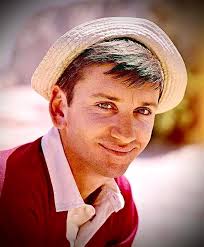 In Memory of “Gilligan himself Bob Denver passed away September 2 2005 at  the age of 70 years old RIP