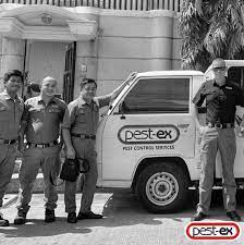 Thank you sheldon and pestex for great. Pest Control Philippines Termite Treatment Services In Philippines