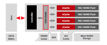 Sandisk, a pioneer in solid state storage technologies and the brand pros trust, delivers improved speed and performance with the sandisk ssd plus. The Differences Between Sandisk Ultra Plus Ultra Ii And Extreme Pro