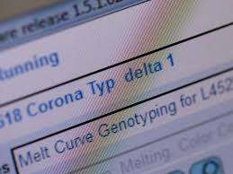 It was first detected in india in late 2020. D53lyy0ixyrn1m