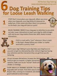 How To Train Your Dog To Stay Off The Sofa And How Do You Train Your Dog To Stay Home Alone And Other Ti Dog Training Classes Dog Clicker Training Dog