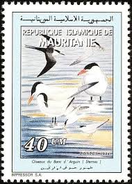 Stamp Birds Of Banc D Arguin Mauritania Birds Of Banc D Arguin National Park Mi Mr A1026 South African Birds Sea Birds Coastal Birds