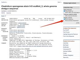 What The Direction Of Ncbi Sequences