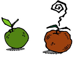 Cambios físicos y químicos - la materia