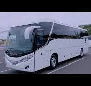 Marcopolo Audace 1050