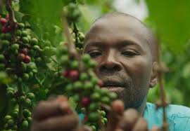 Meet Kristy Hitchings