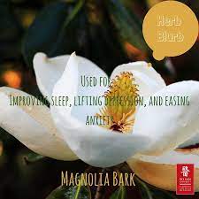 Pin By Maryann Mckinney On Apothecary Healing Plants Medicinal Plants Herbs