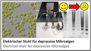 Make sure this fits by entering your model number. Kit Botanisches Institut Nick Laborstudieren Master Biologie Forschungsmodule Plant Cell Biology