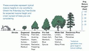 plant id exploring different fields