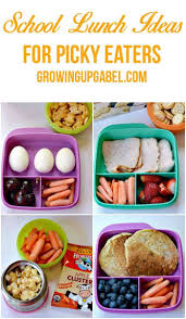 School Lunch Ideas For Picky Eaters Growing Up Gabel Preschool Lunch Fun Lunch Lunch Snacks