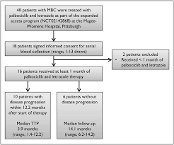 Flow Diagram Of Patient Selection Flow Chart Indicates