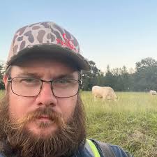 Are cover crops baleable for sheep ranching?