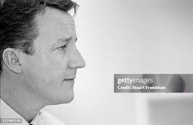 160 Whitney Cameron Stock Photos, High-Res Pictures, and Images