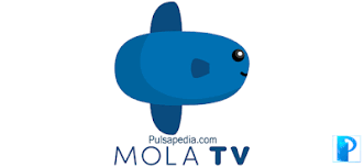 Dengan teknologi yang semakin canggih, anda bisa. Cara Berlangganan Mola Tv Mola Matrix Tv
