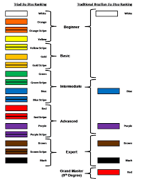 Critical Technology Martial Arts Badge Systems Design Martial Arts Martial Martial Arts Belts