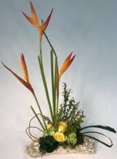 They are great for adding to other. Bright Beautiful In Benton Ar Flowers Home Of Bryant Benton