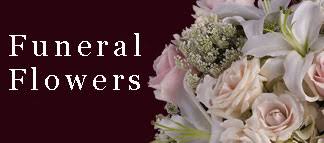 Watch cnn streaming channels featuring anderson cooper, classic larry king interviews, and feature shows covering travel, culture and global news. Boston Florist Flower Delivery By Exotic Flowers