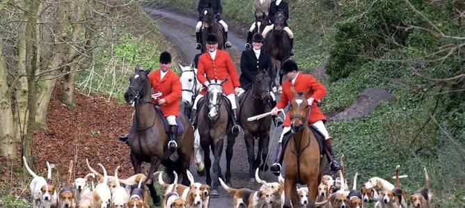 Politics Home Article | Labour promises to toughen up law on illegal fox hunting