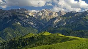 We did not find results for: Mountain Hd Wallpaper Background Image 1920x1080