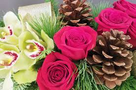 The old farmer's almanac's extended forecasts can be used to make more informed decisions about future plans that depend on the weather, from vacations and weddings to gardening, hiking, and other outdoor activities. Flower Creations Flowercreations Twitter