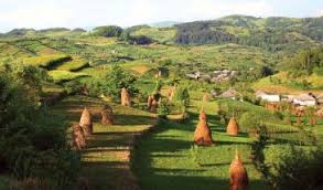 Posted on 20 mai 2015 by iubitor de maramures. MaramureÈ™ O È›arÄƒ PlinÄƒ De Haz È™i De Obiceiuri De VÄƒzut CÄƒtinel Jadore Holidays