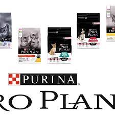 sancaktepe bugra petshop evcil hayvan malzemeleri magazasi evcil hayvan malzemeleri evcil hayvanlar hayvan