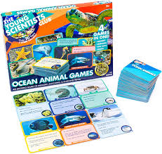 Read on for some hilarious trivia questions that will make your brain and your funny bone work overtime. Buy The Young Scientist Ocean Animal Card Games 4 Card Games In 1 Matching Bingo Memory Trivia Hands On Educational Fun Homeschool Games Online In Usa B08l71zhj3