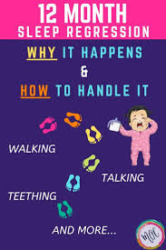 We did not find results for: 12 Month Sleep Regression Mama S Organized Chaos