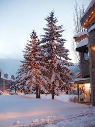Christmas Trees In Park City Utah Park City Vacation Rentals Park City Snow Park City Rentals