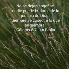 La Ley Divina De La Siembra Y La Cosecha Frases Espirituales Frases Bonitas Justicia De Dios