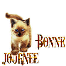 Résultat de recherche d'images pour "gif bonne journée"