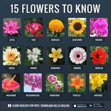 Pin By Sanjeev On Suri Learn English Hello English App Flowers Name In English