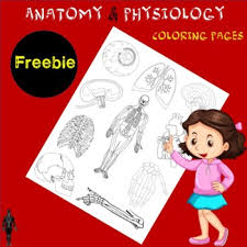 Our anatomy coloring pages in this category are 100% free to print, and we'll never charge you for using, downloading, sending, or sharing them. Anatomy Coloring Page Worksheets Teaching Resources Tpt