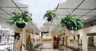Our salon hours and pricing vary by location so please contact your preferred hair cuttery salon for details. Review Amaryllis Eco Friendly Hair Salon Cardiff Hungrycityhippy