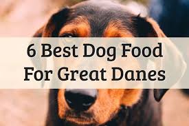 This dog food is designed. 6 Best Dog Food For Great Danes 2021 Review Top Choices