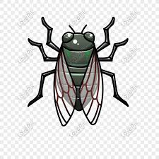 Contribute to cicada/cicada development by creating an account on github. Lovepik ØµÙˆØ±Ø© Psd 401330994 Id Ø§Ù„Ø±Ø³ÙˆÙ…Ø§Øª Ø¨Ø­Ø« ØµÙˆØ± Ø§Ù„Ø²ÙŠØ²