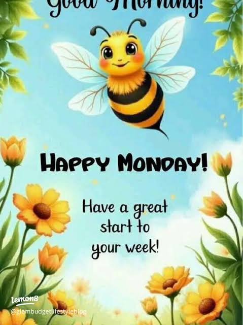 Good Morning! Happy Monday & Have a Great Start to Your Week!