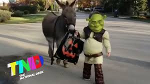Shrek donkey is first seen with an old lady who was his owner and the two of them, along with other characters, were in a line for people who had fairy tale creatures and they exchange the. Shrek And Real Life Donkey Youtube