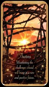 Fortune Reading Cards Thorns Angel Cards Reading Angel Messages Oracle Cards