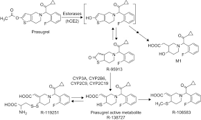 Image result for Prasugrel